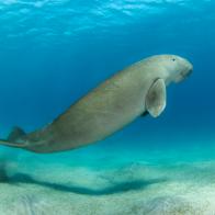 Photo taken in Marsa Alam, Egypt