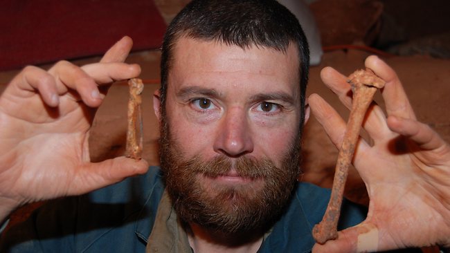 Fossilised bird bones