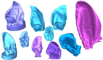 [ear shape examples]